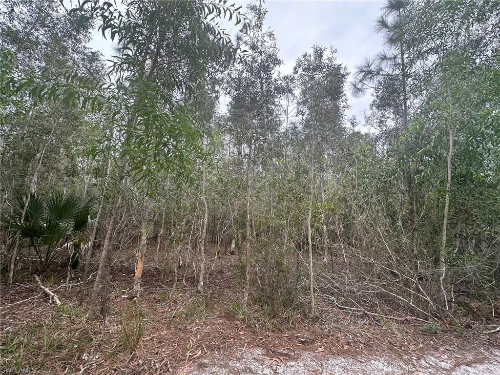 2258 Brooklawn Dr Property Photo 4