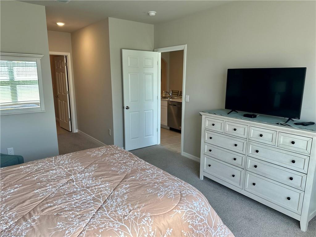 20502 Camino Torcido Loop Property Photo 11