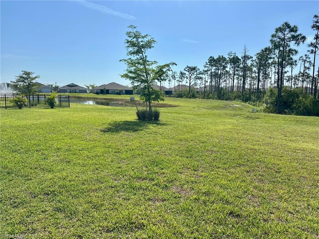 20502 Camino Torcido Loop Property Photo 21