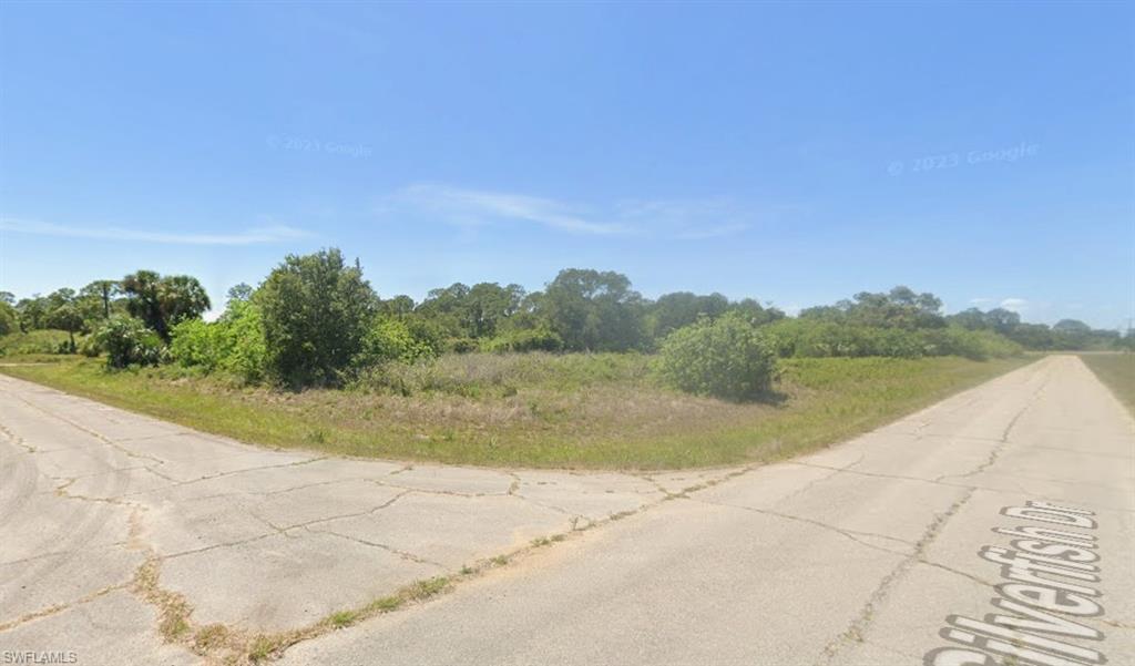 1118 Silverfish Dr Property Photo 3