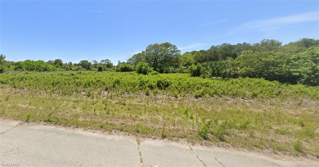 1116 Silverfish Dr Property Photo 3