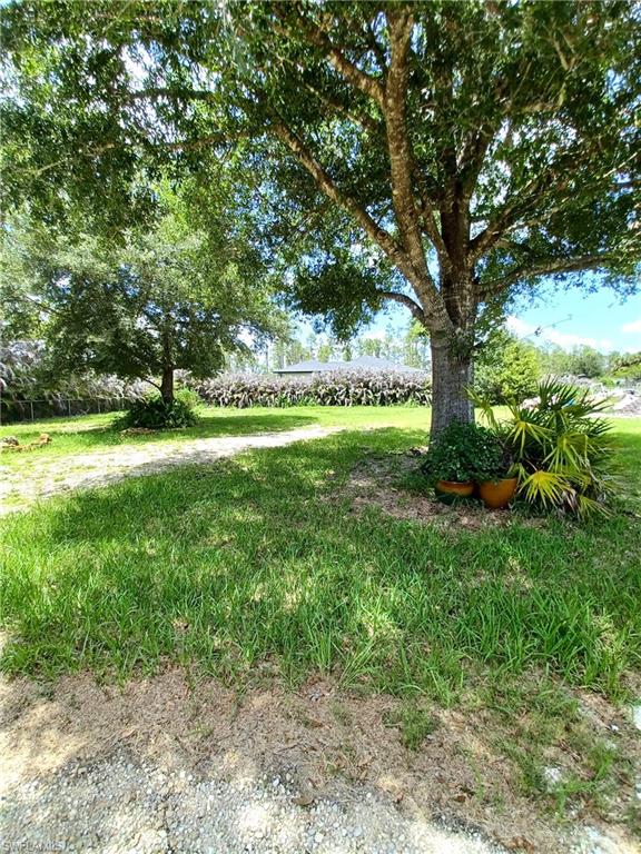 1006 Palmetto Ave Property Photo 15