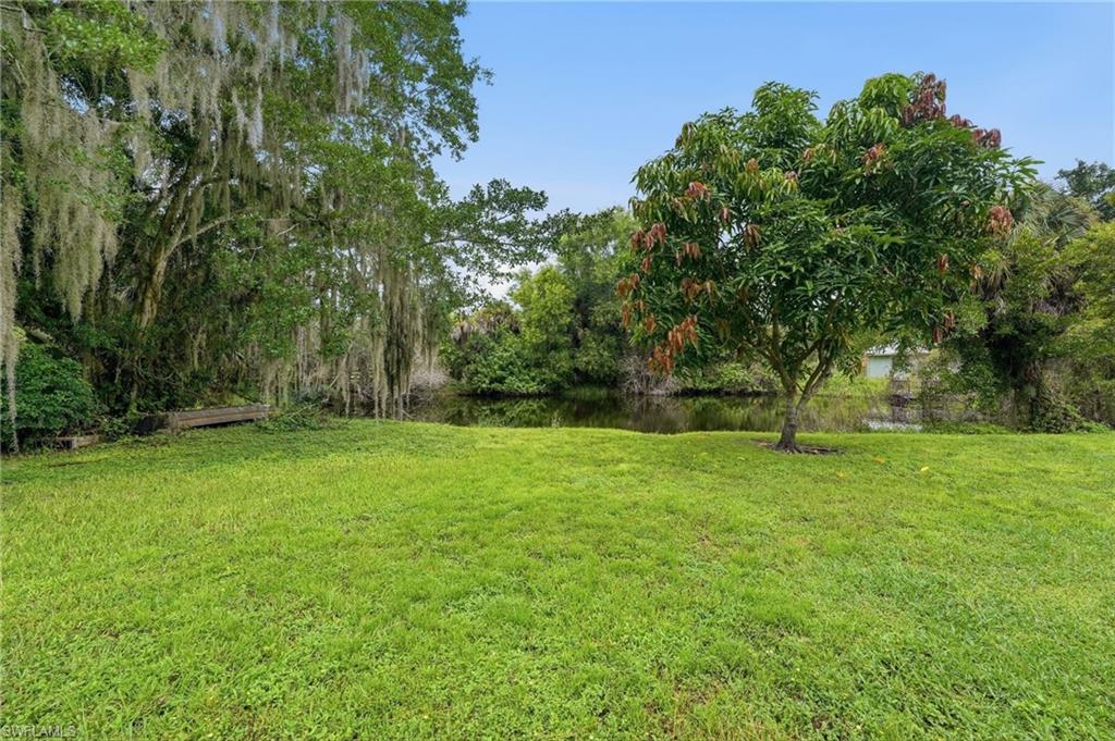 10910 Irish Ln Property Photo 38