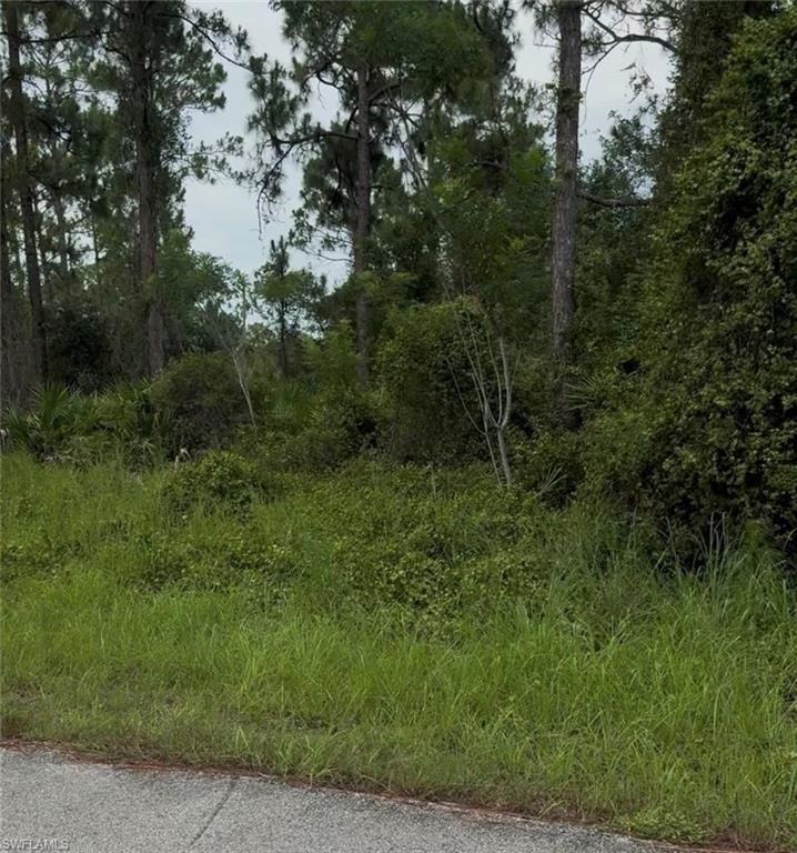 2018 Leroy Ave Property Photo 4