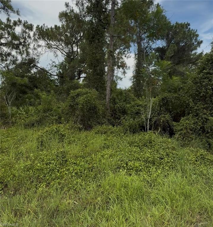 2018 Leroy Ave Property Photo 5