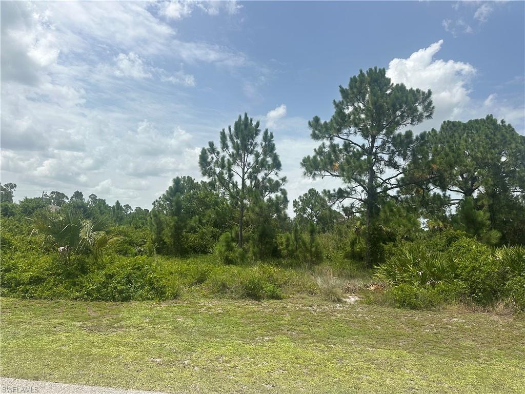 1141 Garibaldi St E Property Photo 2
