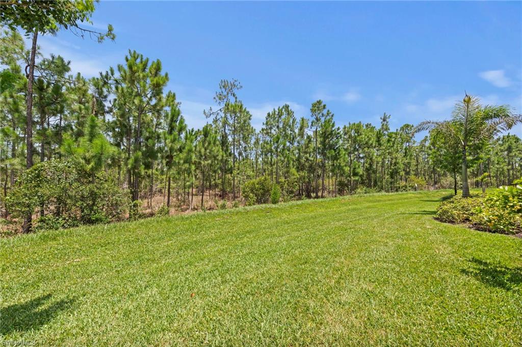 20615 Plumwood Loop Property Photo 32