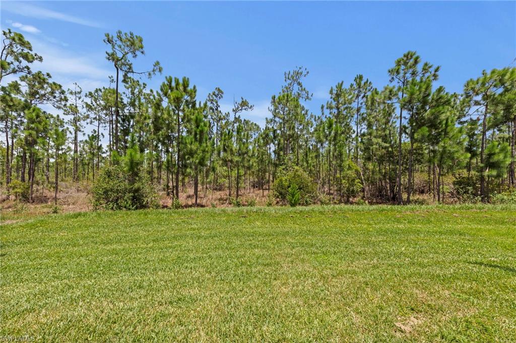 20615 Plumwood Loop Property Photo 33