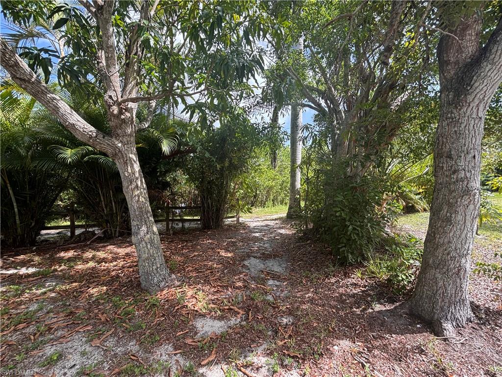 14281 Pacosin Ct Property Photo 29