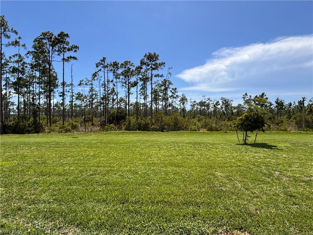 20324 Camino Torcido Loop Property Photo 16