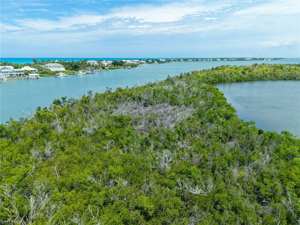 0 Buck Key Property Photo 39
