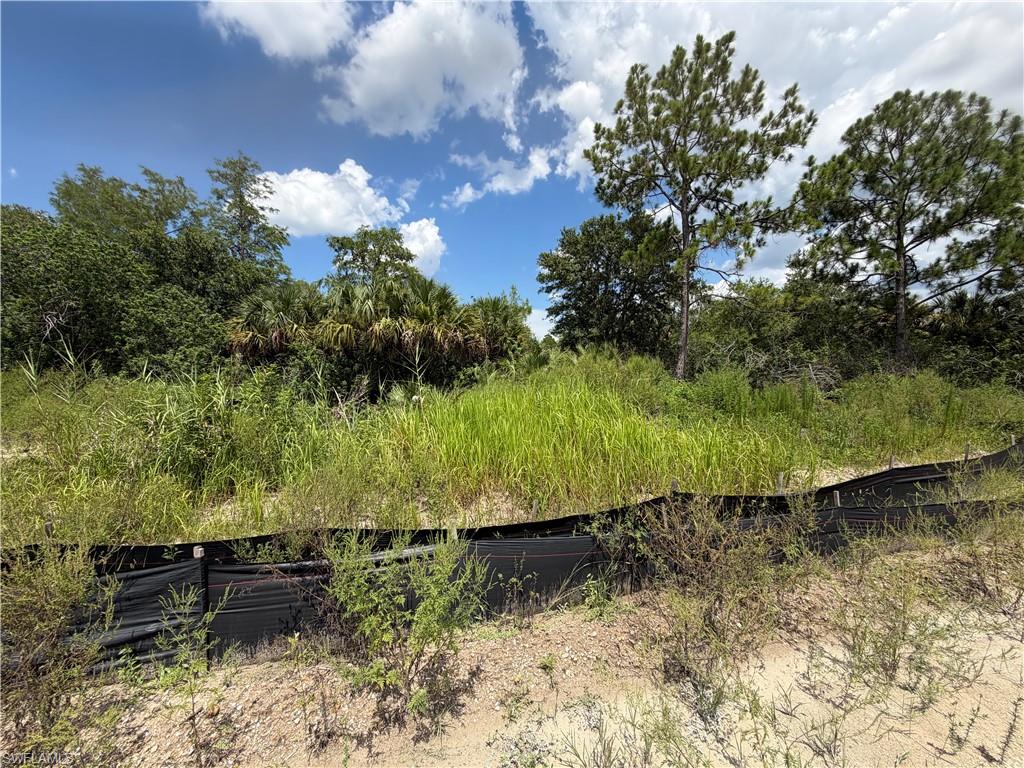 3301 Terry Ave N Property Photo 10
