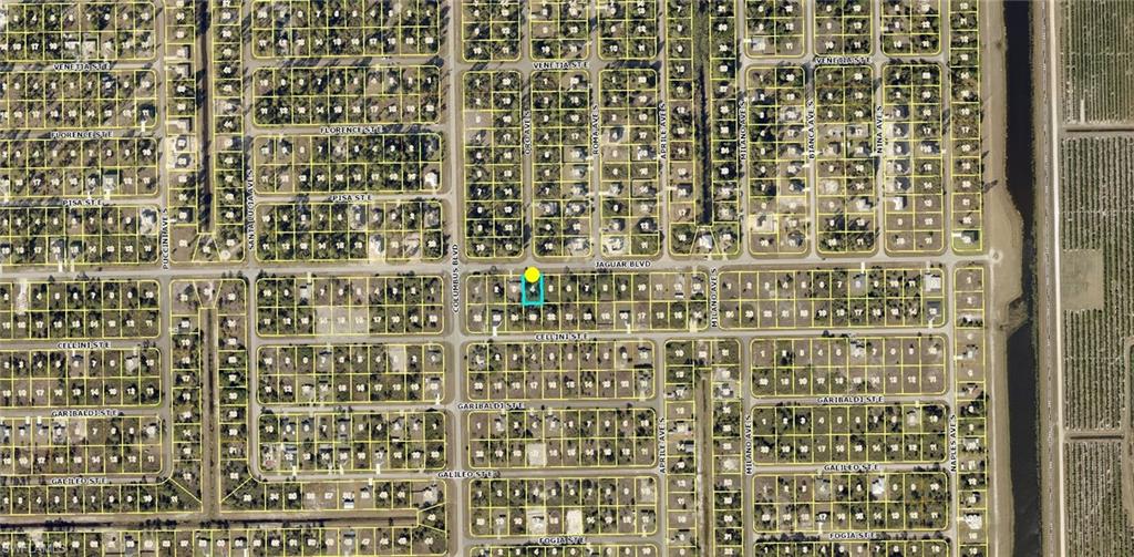 1208 Jaguar Blvd Property Photo 3