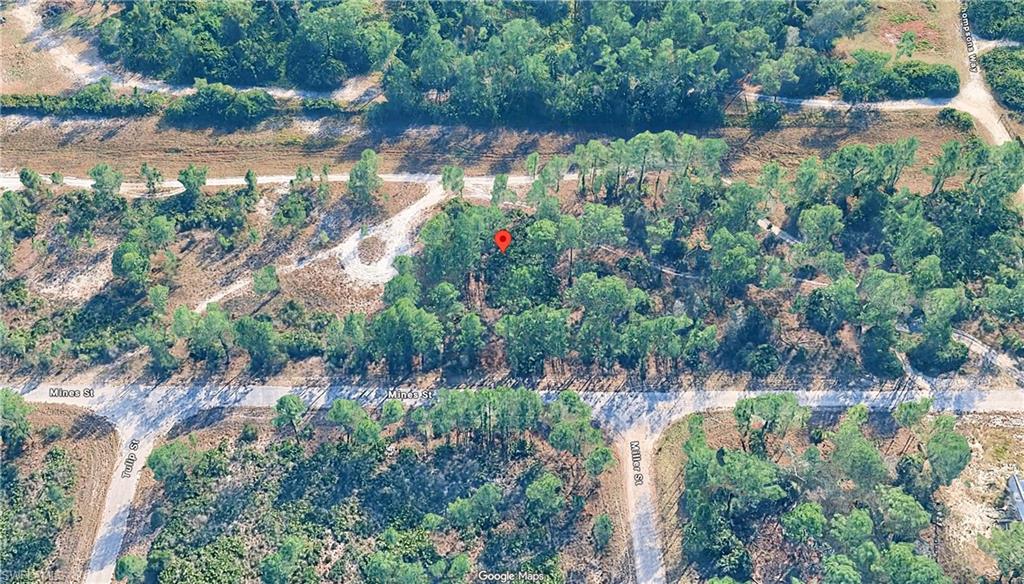 339 Mines St Property Photo 4