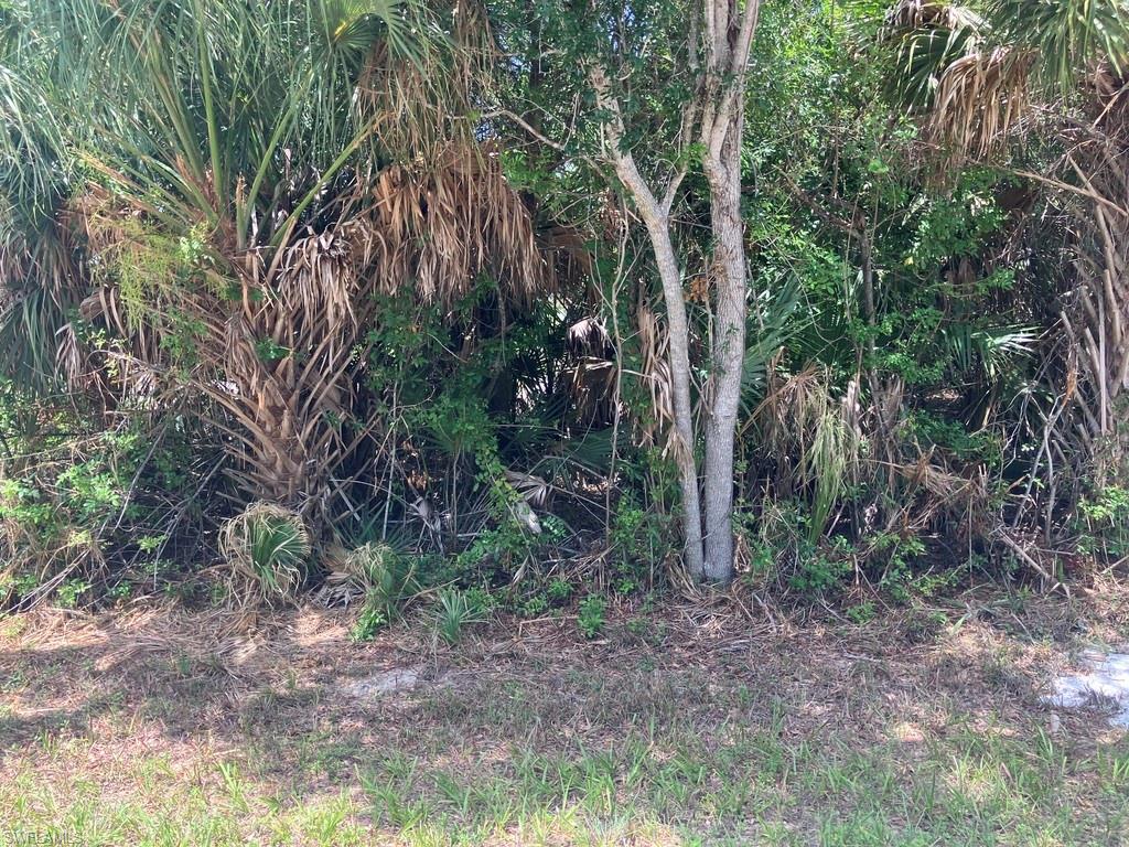 7219 Freeberg Cir Property Photo 6
