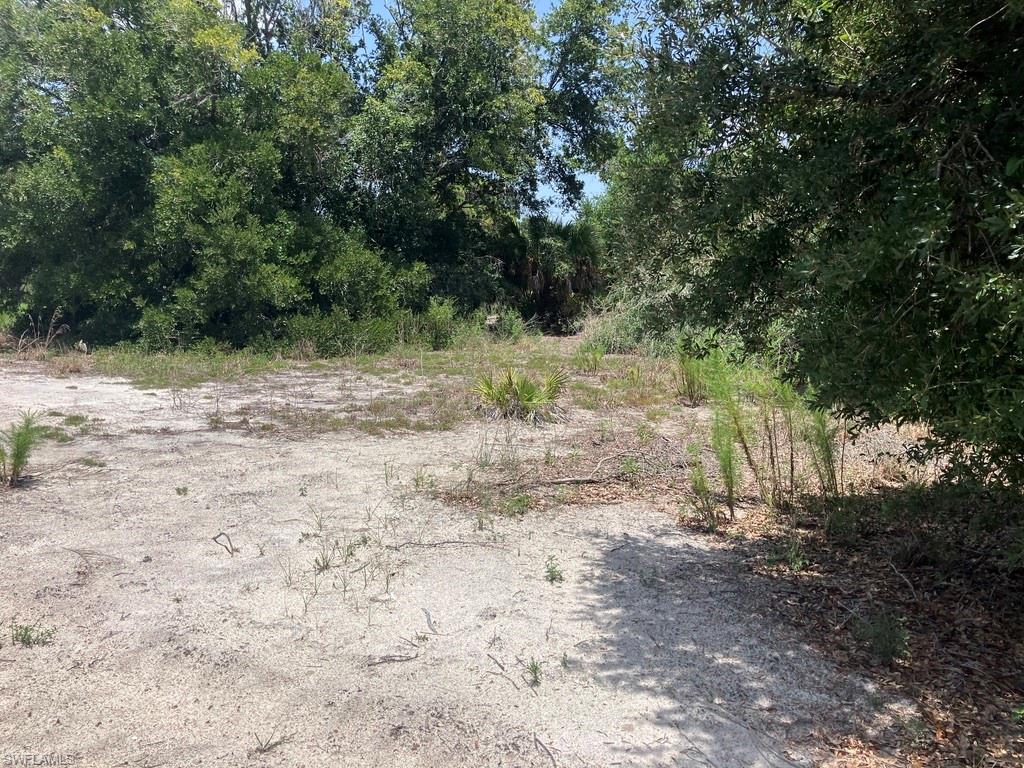 7219 Freeberg Cir Property Photo 8