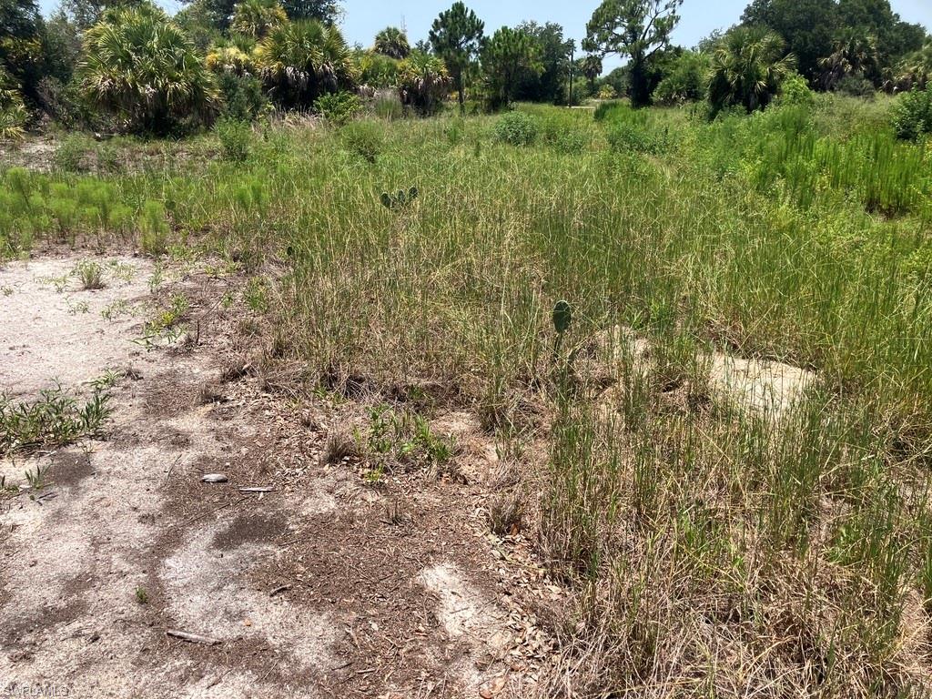 7219 Freeberg Cir Property Photo 9