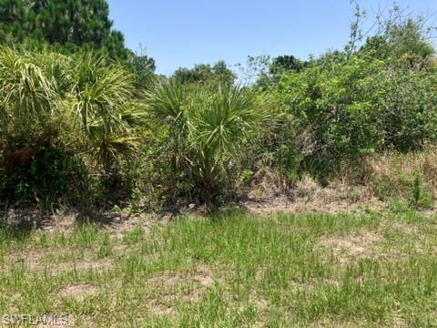 7034 Kaler St Property Photo 2
