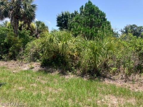 7034 Kaler St Property Photo 3