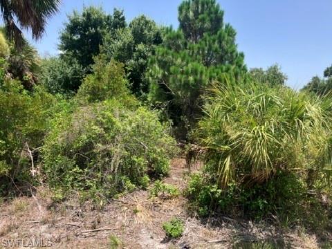 7034 Kaler St Property Photo 5