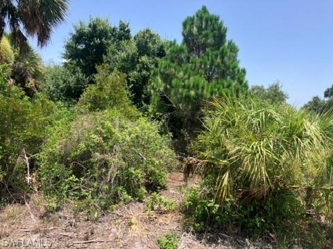7034 Kaler St Property Photo 6