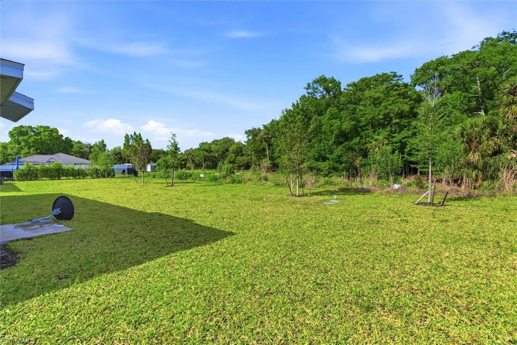 3911 Treasure Oak Way Property Photo 23