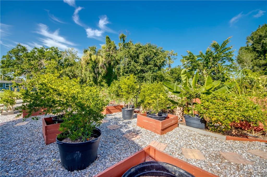 356 Sacramento St Property Photo 49