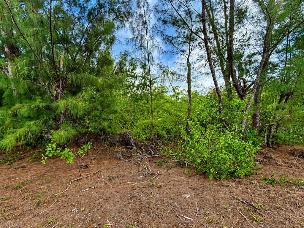 12370 Sherwood Rd Property Photo 1