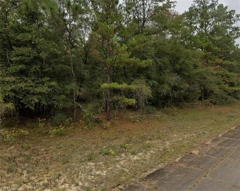 Darlington Dr Property Photo 2