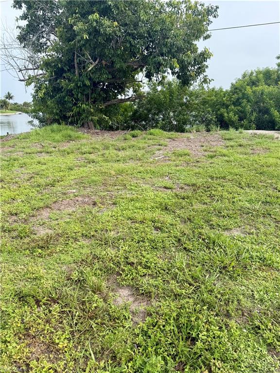 1805 Tropicana Pkwy W Property Photo 3
