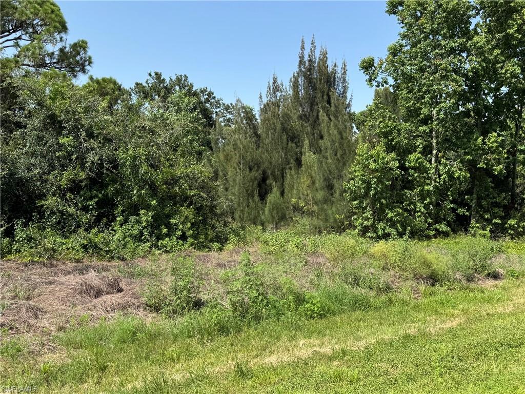 28172 Barstow Dr Property Photo 2