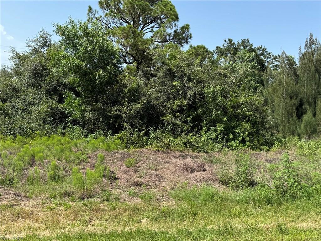 28172 Barstow Dr Property Photo 3