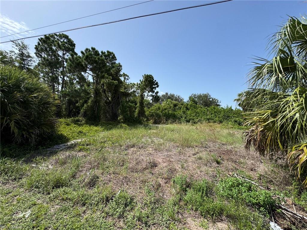 26492 Angelica RD Property Photo 1