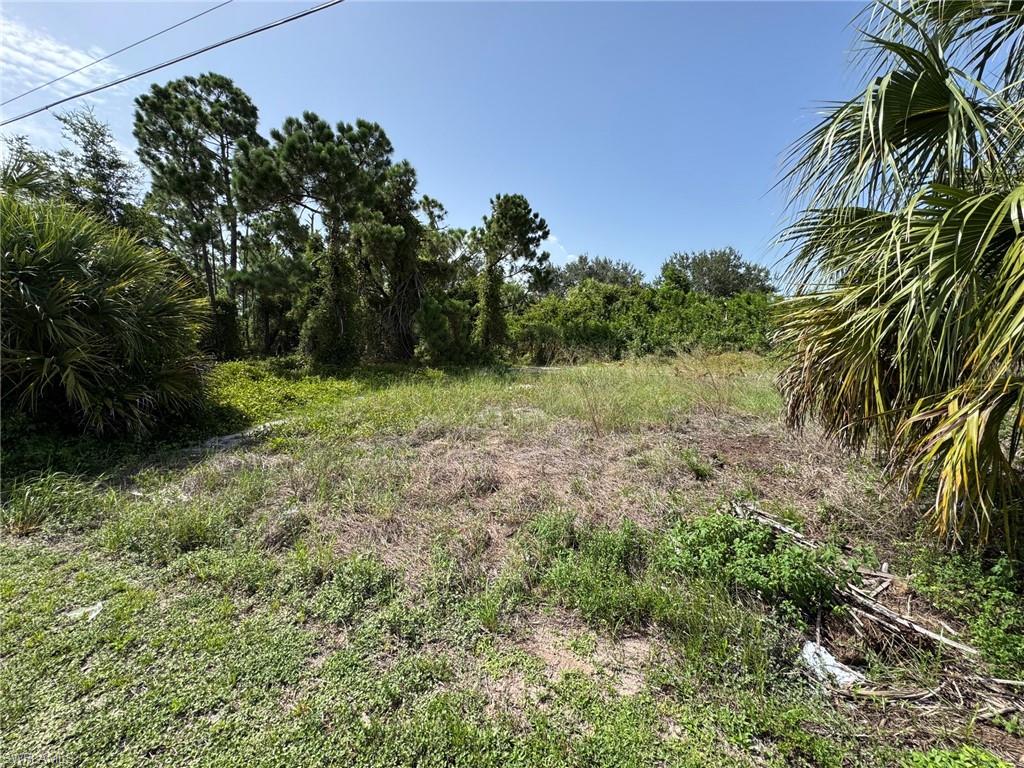 26492 Angelica Rd Property Photo 2