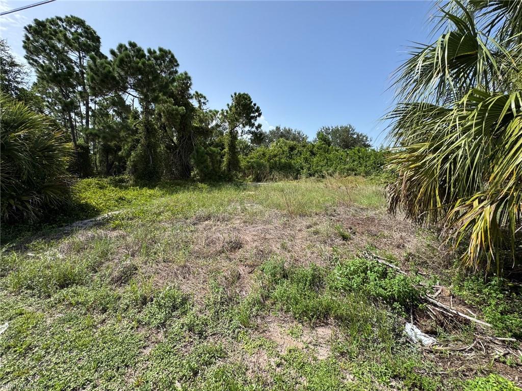 26492 Angelica Rd Property Photo 3