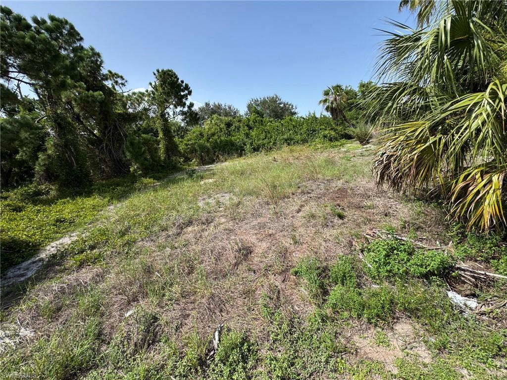 26492 Angelica Rd Property Photo 4