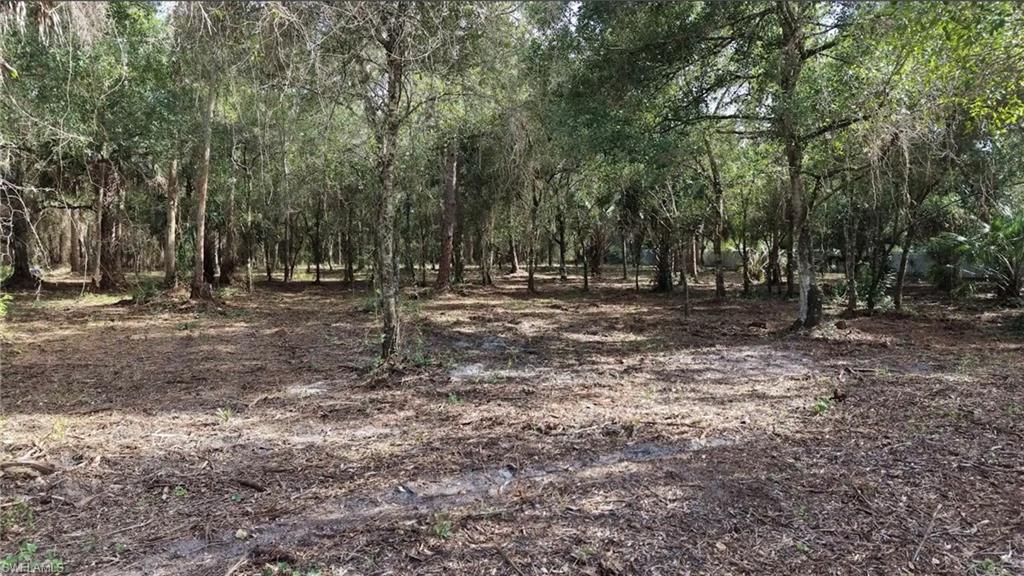 824 Woodland BLVD Property Photo 1