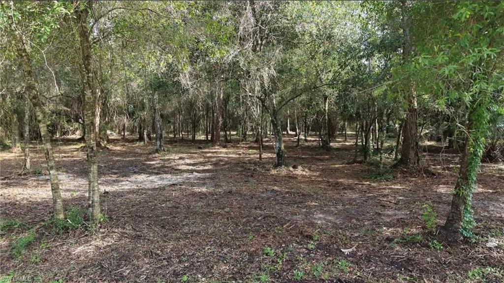 824 Woodland Blvd Property Photo 4