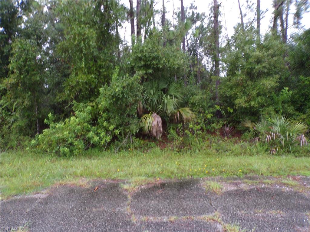 Nocturn St Property Photo 1