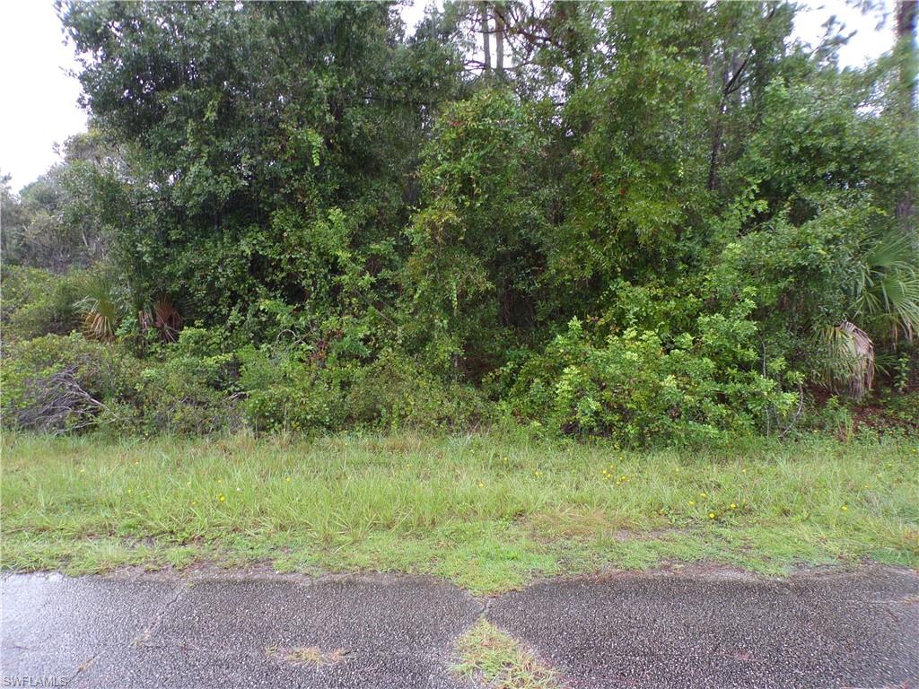Nocturn St Property Photo 2