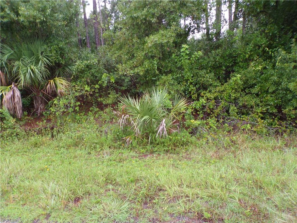 Nocturn St Property Photo 5