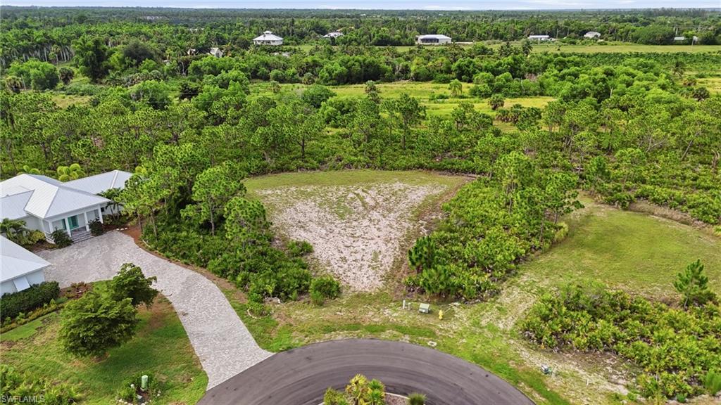 12540 Indian Shell Trl Property Photo 6