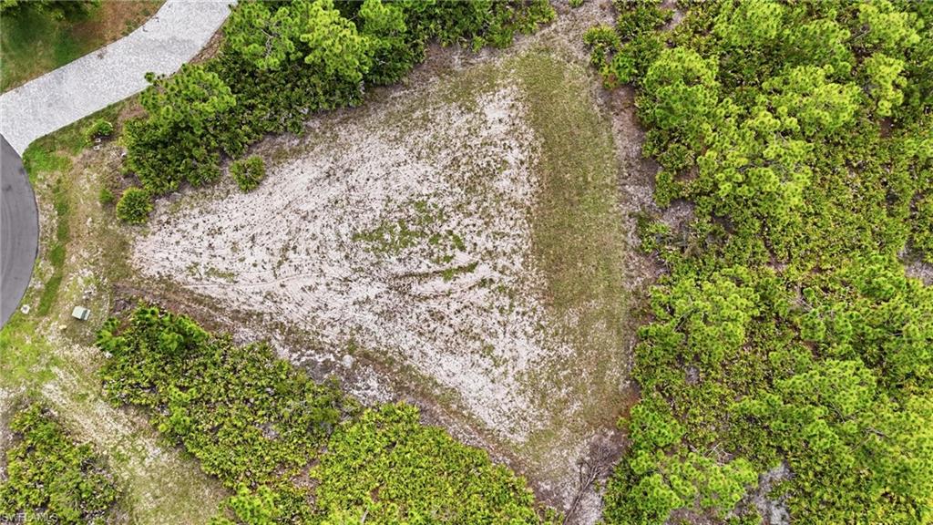 12540 Indian Shell Trl Property Photo 11