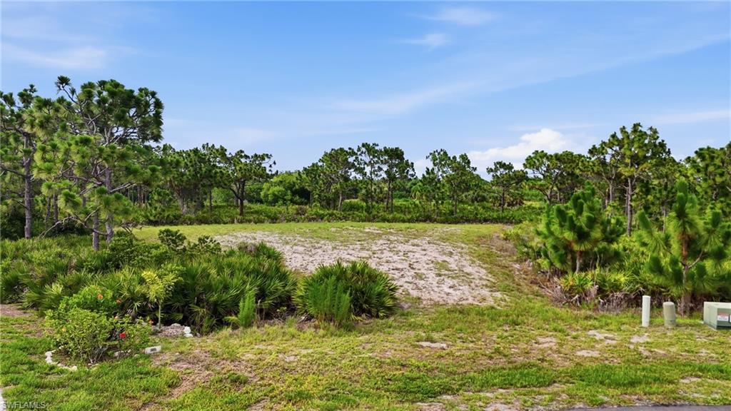 12540 Indian Shell Trl Property Photo 15
