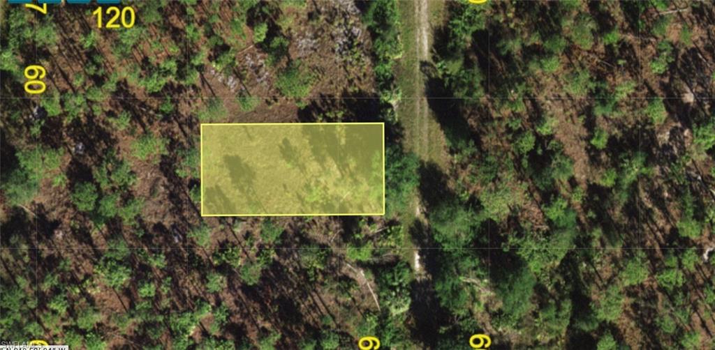 13347 Cappy TER Property Photo 1