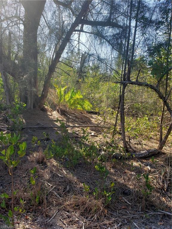 Tbd Masters Landing Dr Property Photo 3