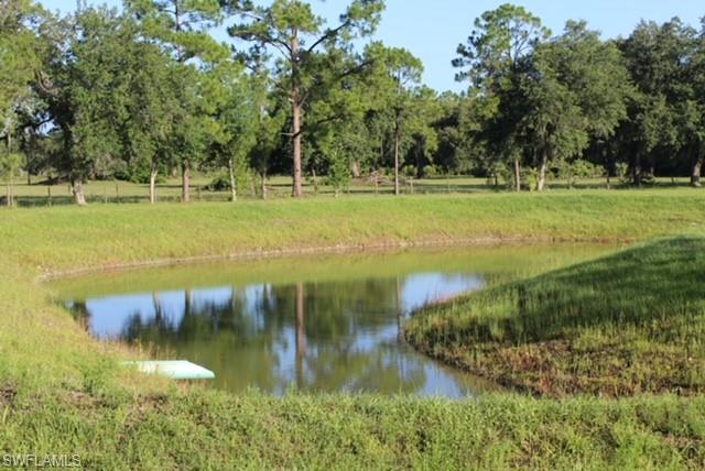 5460 Jackson Rd Property Photo 32