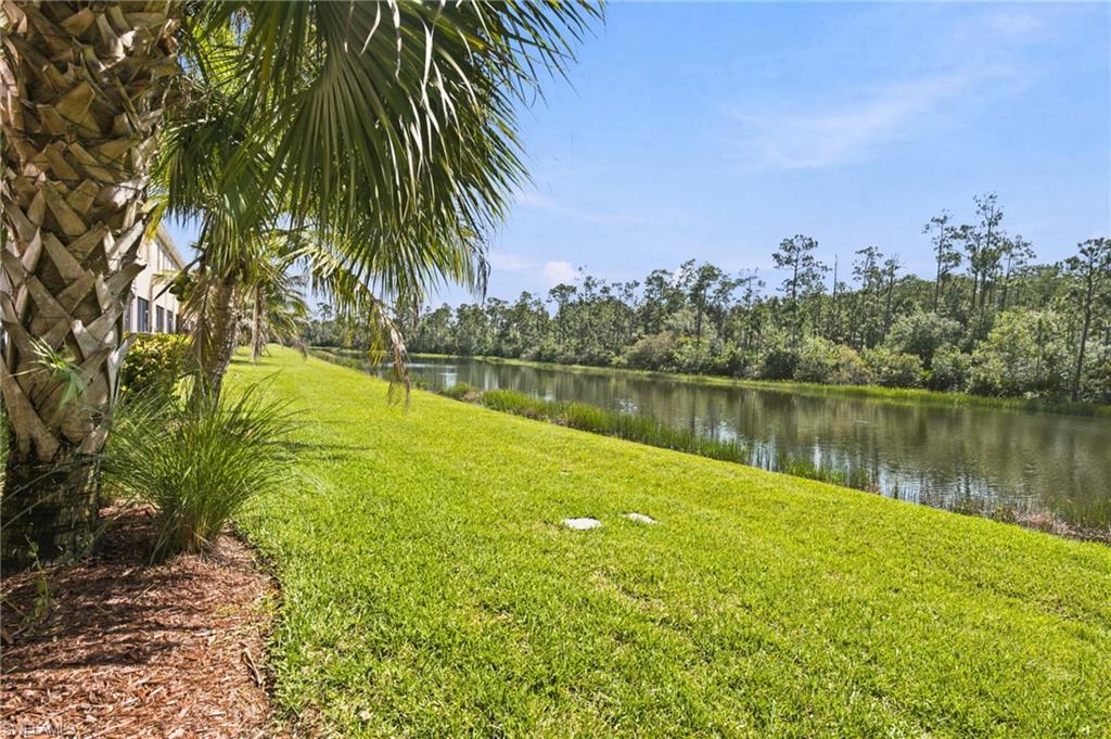 10174 Via Colomba Cir Property Photo 28