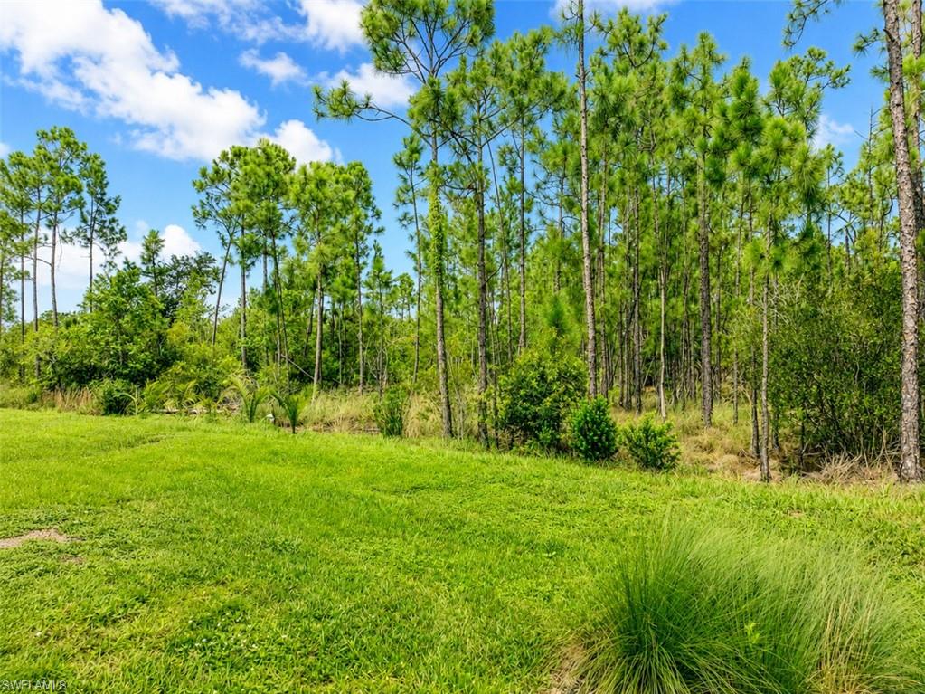 20587 Plumwood Loop Property Photo 22