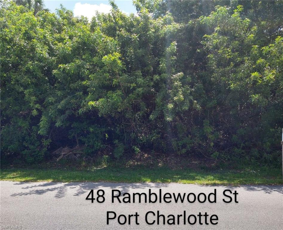 48 Ramblewood St Property Photo 4